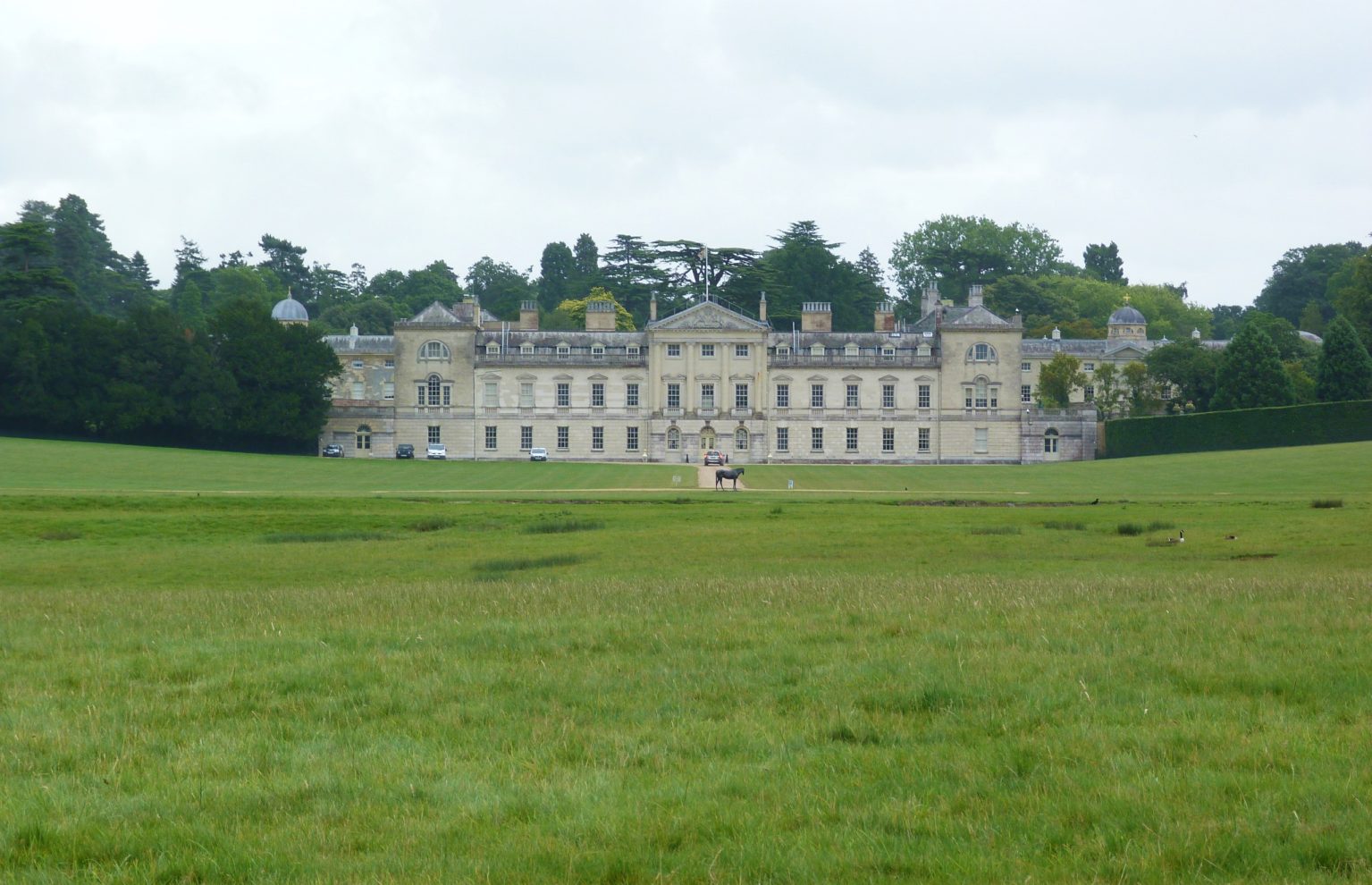 Looking towards Woburn Abbey