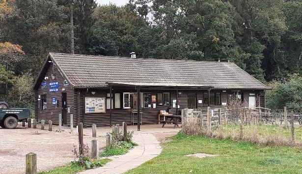 Tracey Cafe