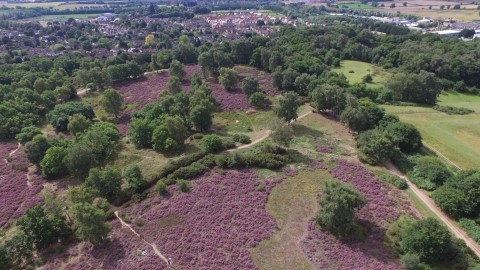 Coopers Hill