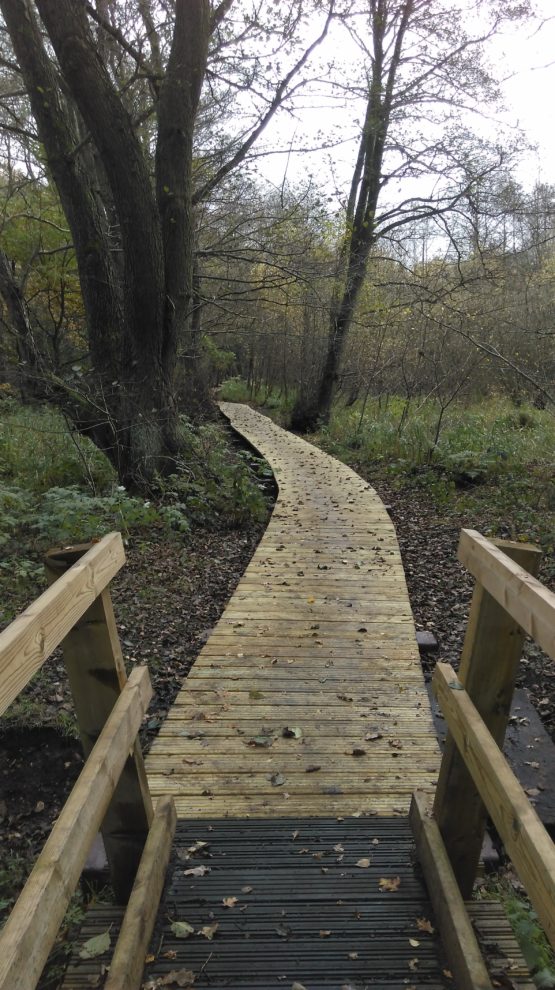Flitwick Moor