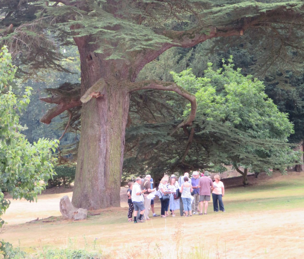 Greensand Country conference series launched